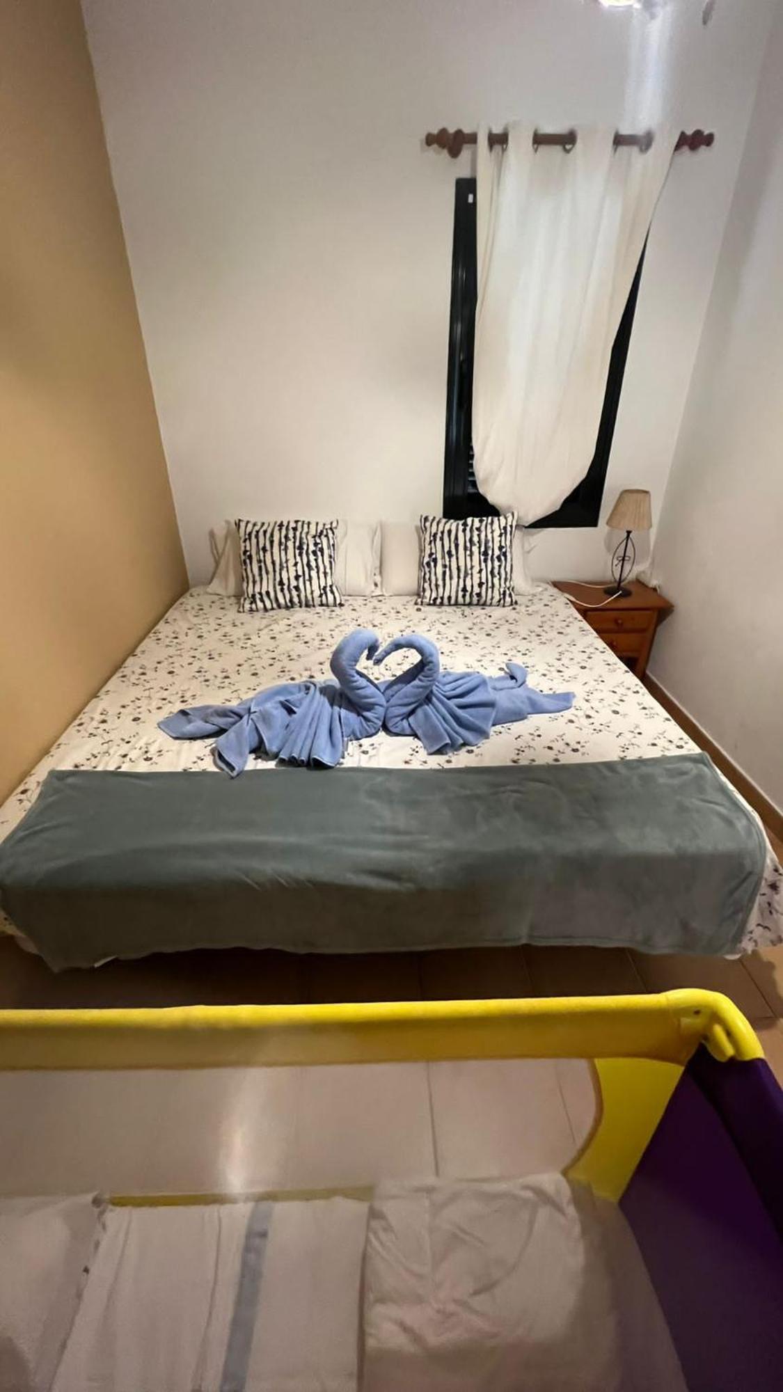 Vivienda Vacacional Orquidea 코라레호 외부 사진